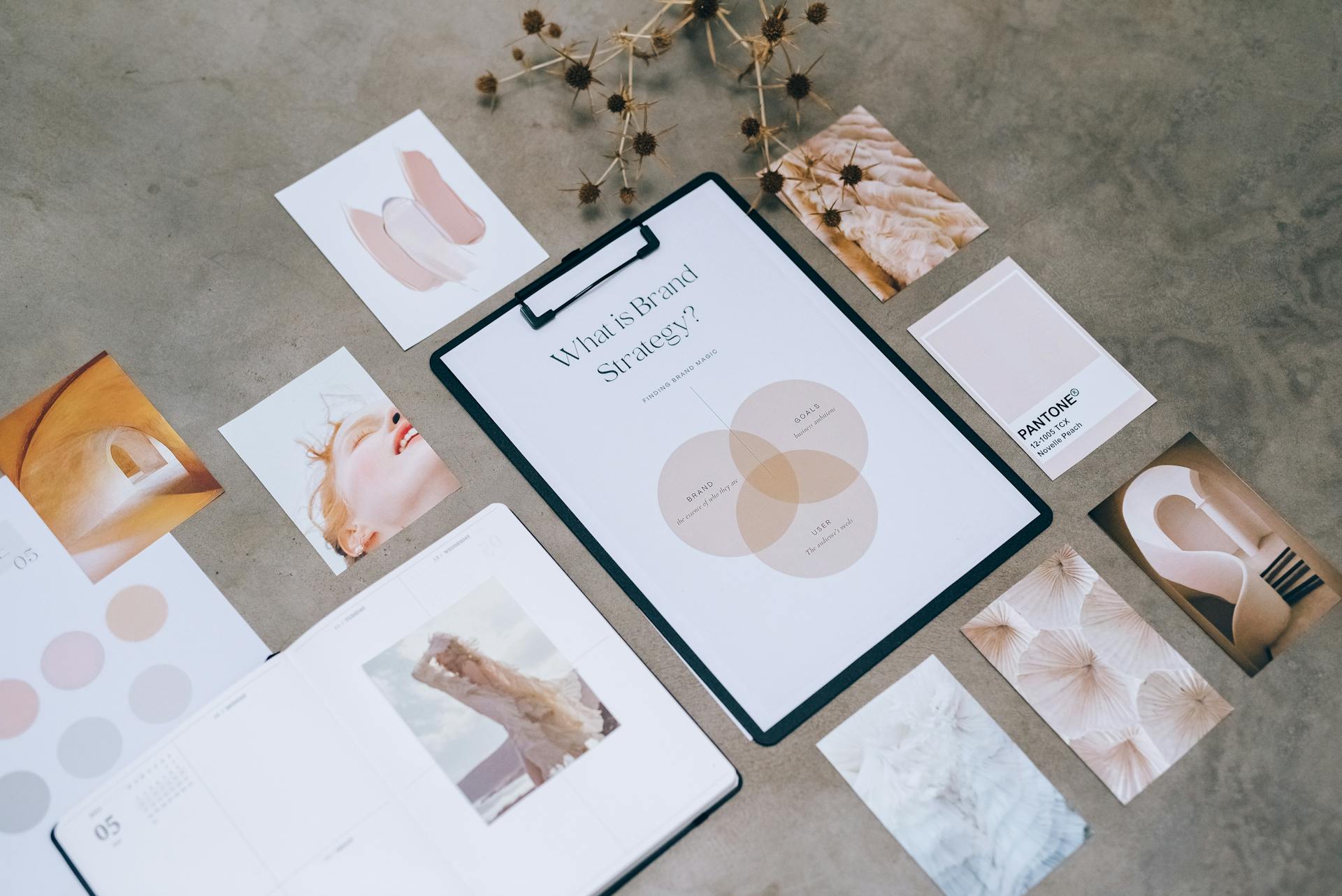 Building a brand on social media with consistent content and visual identity